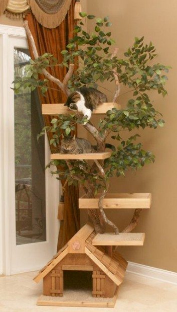cat wood tree