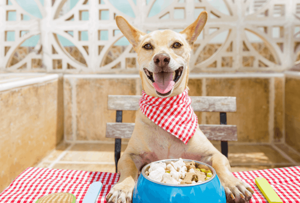 Is a Grain-Free Diet Good for my Dog?