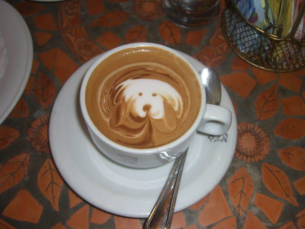 Coffee with a dog art on it
