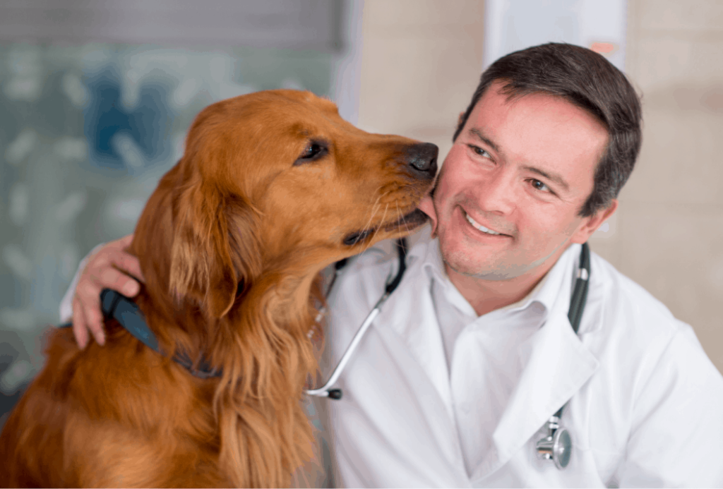 dog with vet 