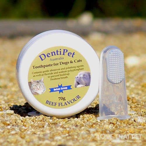 Dentipet Beef Flavoured Toothpaste for Dogs & Cats