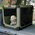 Dog-Crate
