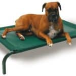 Dog-trampoline-bed