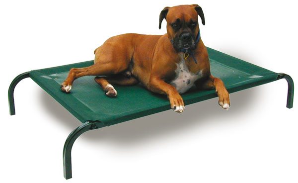 Dog trampoline bed