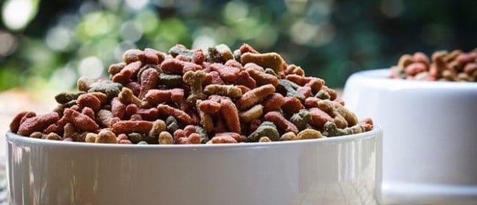 Dog food bowl with food