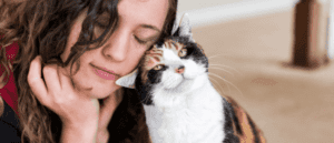 Feliway for Cats: A Pet Parent’s Guide | VetBabble