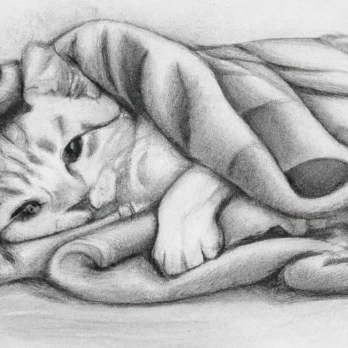 sleepy kitten curled up in a cozy blanket
