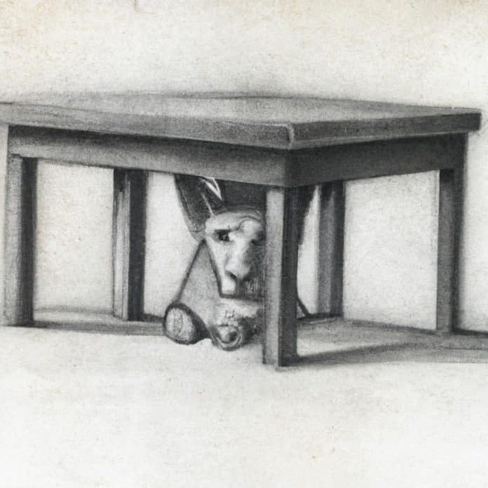 a dog hiding under a table