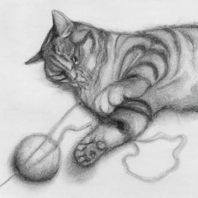 Cat playing with a ball of string.
