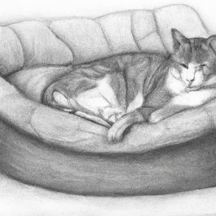 A cat comfortably lounging on a pet bed.