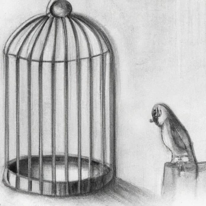 a lonely bird looking at an empty cage.