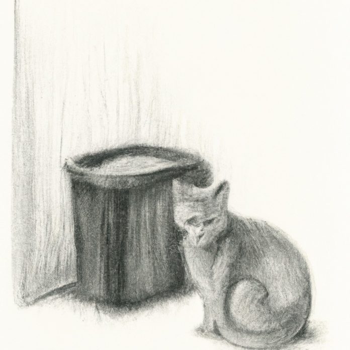 Worried cat sitting near a litter box.
