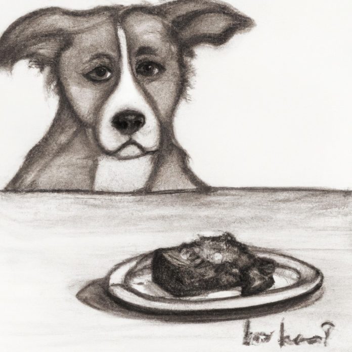 dog looking guilty near an empty brownie plate